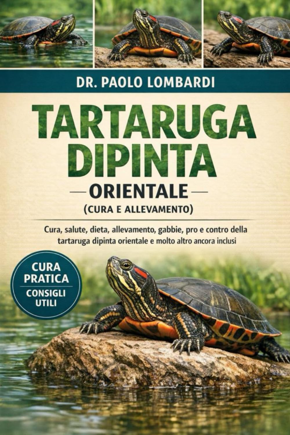 Tartaruga Dipinta Orientale (Cura e Allevamento): Cura, salute, dieta, allevamento, gabbie, pro e contro della tartaruga dipinta orientale e molto altro ancora inclusi