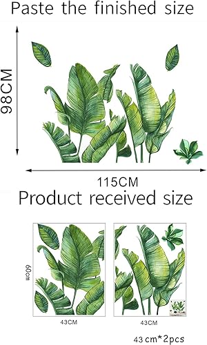 Miniatura 7 de Calcomanías de pared de plantas verdes calcomanías de hoja de Monstera de bosque tropical tropical hojas de palmera naturales plantas de hojas