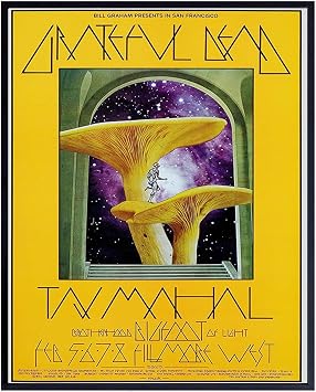 Dead Poster - 8x10 Psychedelic Magic Mushrooms - Grateful Gifts - Concert Posters - Hallucinogenic Golden Teacher - Dead Head Wall Art - Pshycadellic Room Decor - Teen, Dorm Room Decor