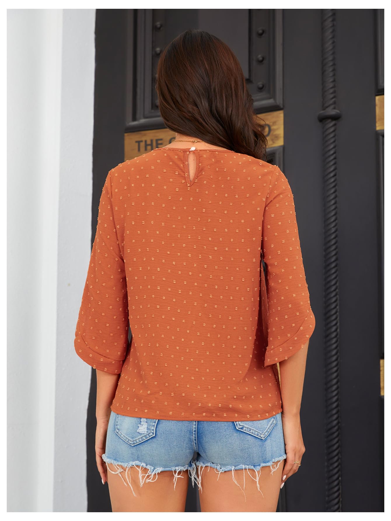 OYOANGLE Women's Dressy Casual Tops Swiss Dots Short Sleeve Chiffon Blouse Summer Work Shirts