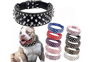 Hoot PU Leather Adjustable Spiked Collar with 25 Impressive Studs