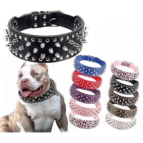 Hoot PU Leather Adjustable Spiked Collar with 25 Impressive Studs