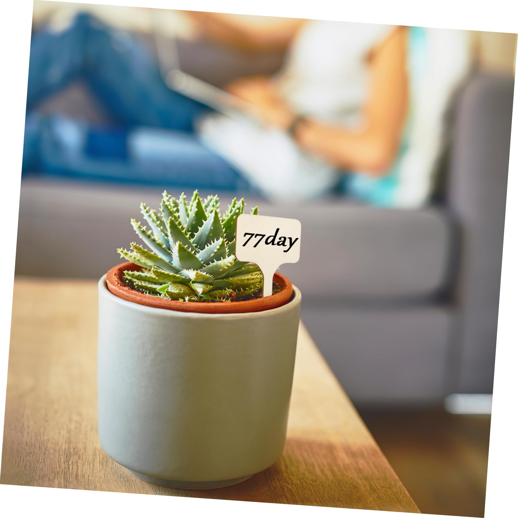 YARNOW 250pièces Étiquettes De Plantes Marqueurs De Jardin Étiquettes Pour Et Fleurs Accessoires De Jardinage Pratiques