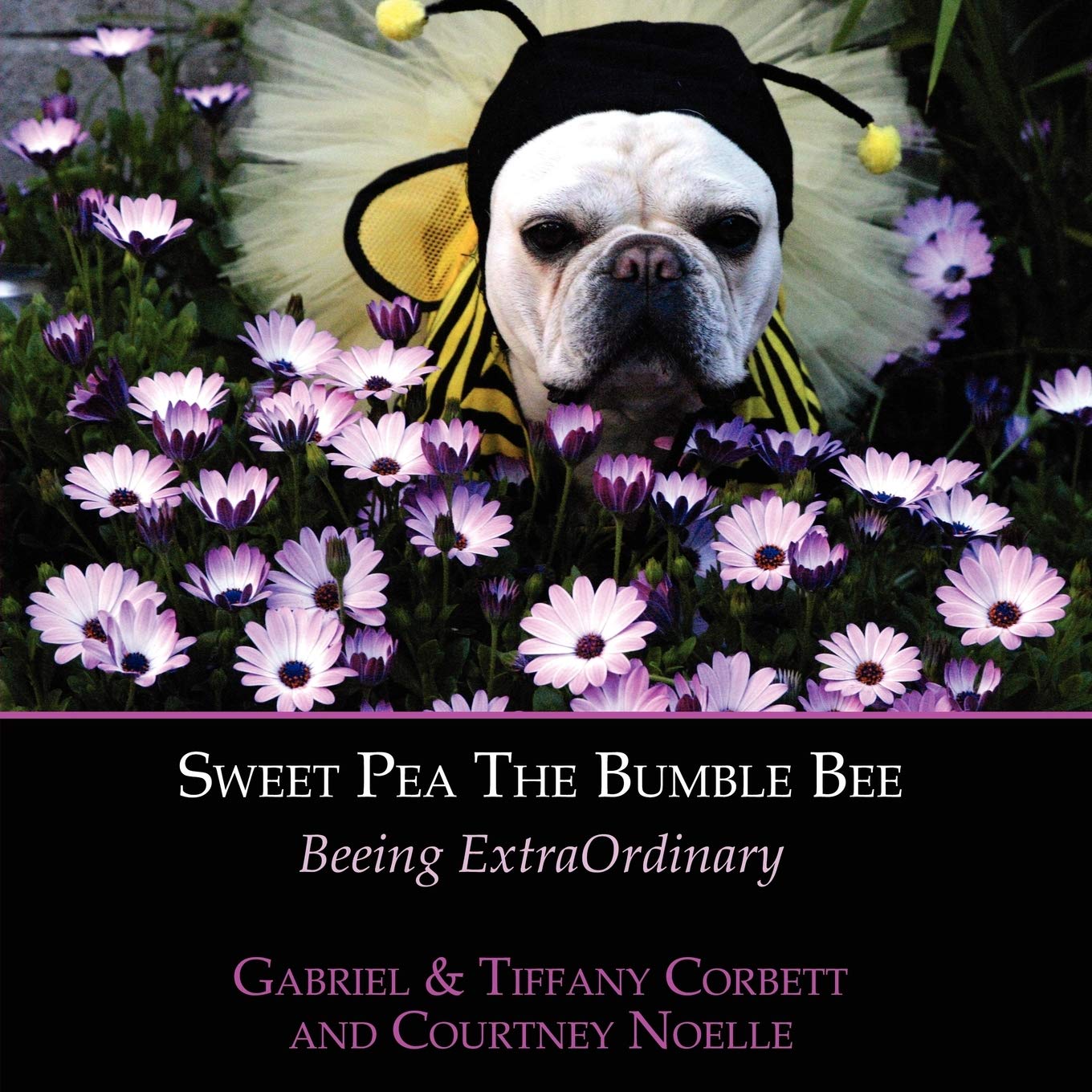Sweet Pea The Bumble Bee: Beeing ExtraOrdinary