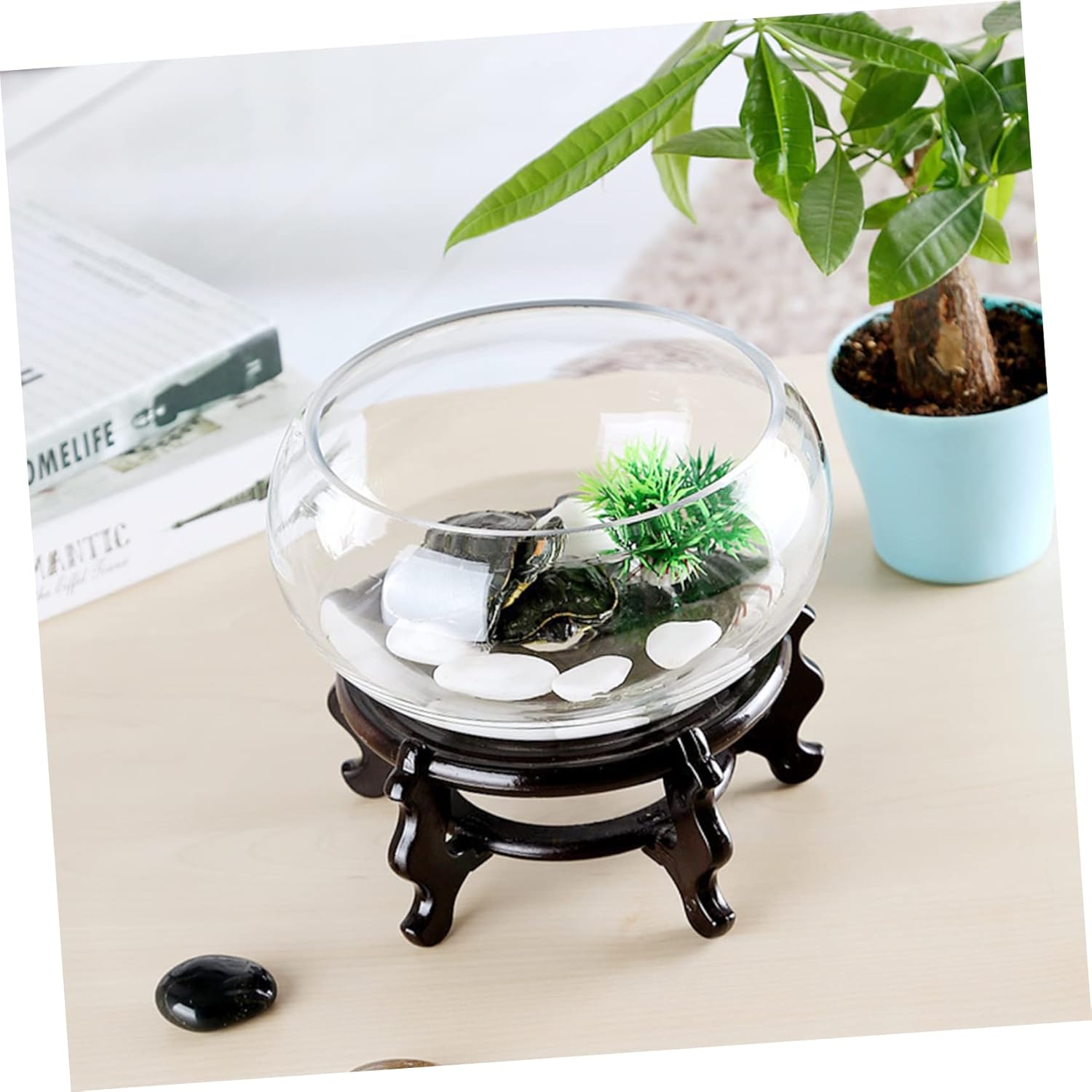 PRETYZOOM 2pcs Glass Succulent Plant Container Plant Terrarium Terrarium Aquarium Decorative Goldfish Bowl Desk Table Glass Flowerpot