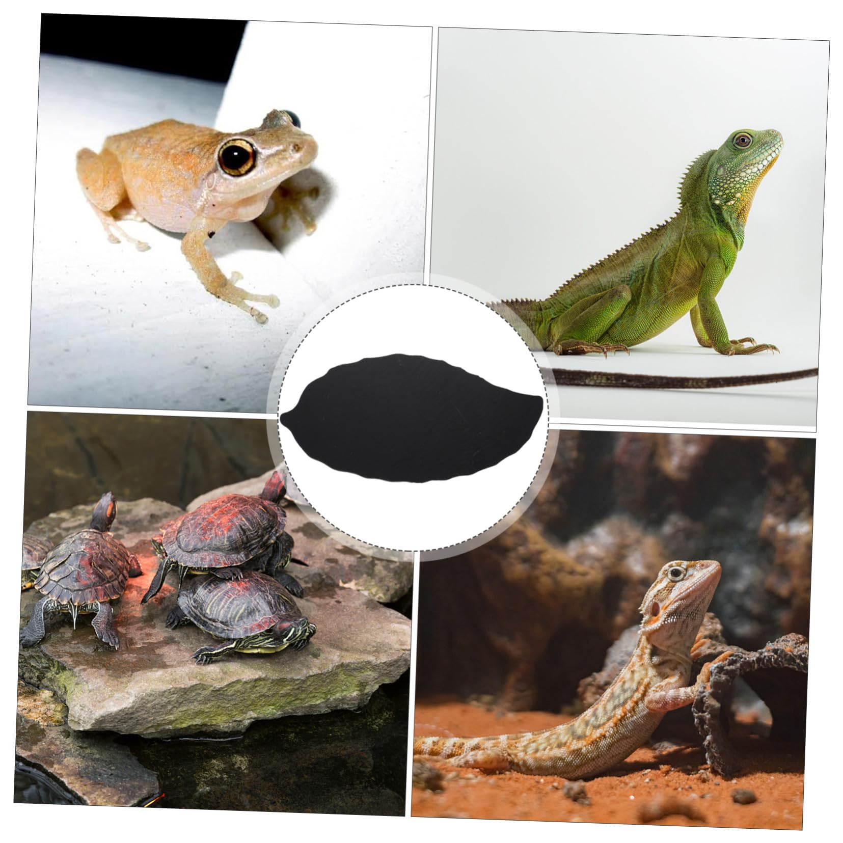 Schildkrötenplattform aus Schwarzem Naturstein für Aquarium und Haushalt Multifunktional mit Einfacher Kletterhilfe für Kleine Reptilien und Wasserschildkröten
