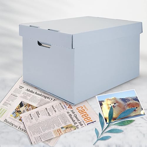 Miniatura 7 de Lineco, Archival - Cartón de almacenamiento de discos de triple resistencia, organizador portátil sin ácidos con tapa, apto para carpetas de