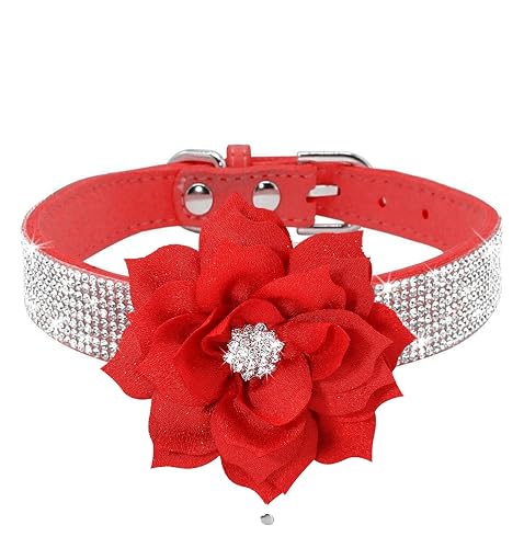 Haoyueer Collar de perro con diamantes de imitación