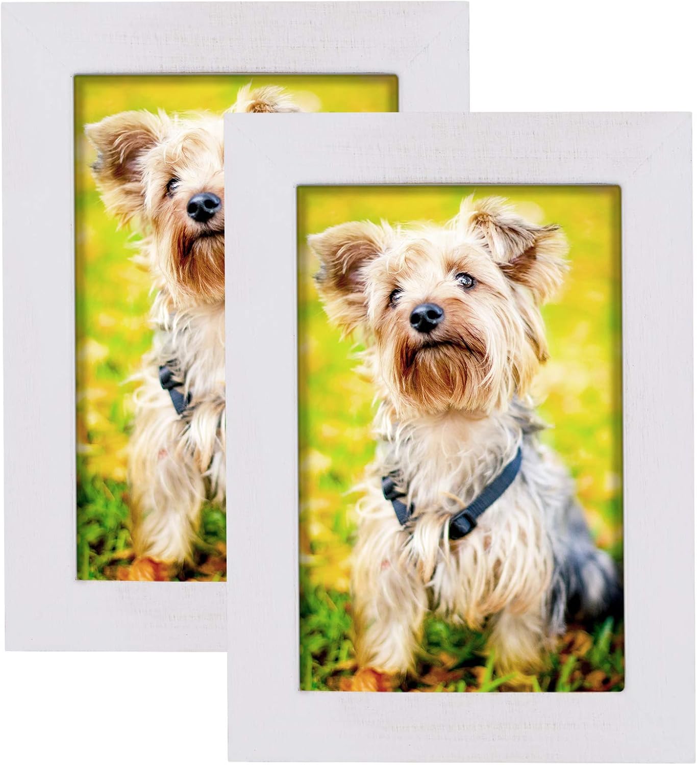 SZQINJI 4x6 Picture Photo Frame 2 Pack Solid Cedarwood with Clear Glass for Desktop Display and Wall Hanging Washed White