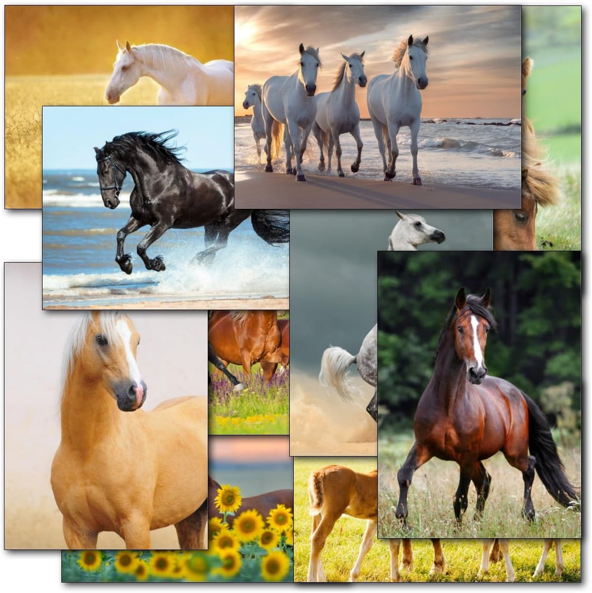 Doodlecards Pack Of 10 Christas Cards And Envelopes Winter Snow Scenes