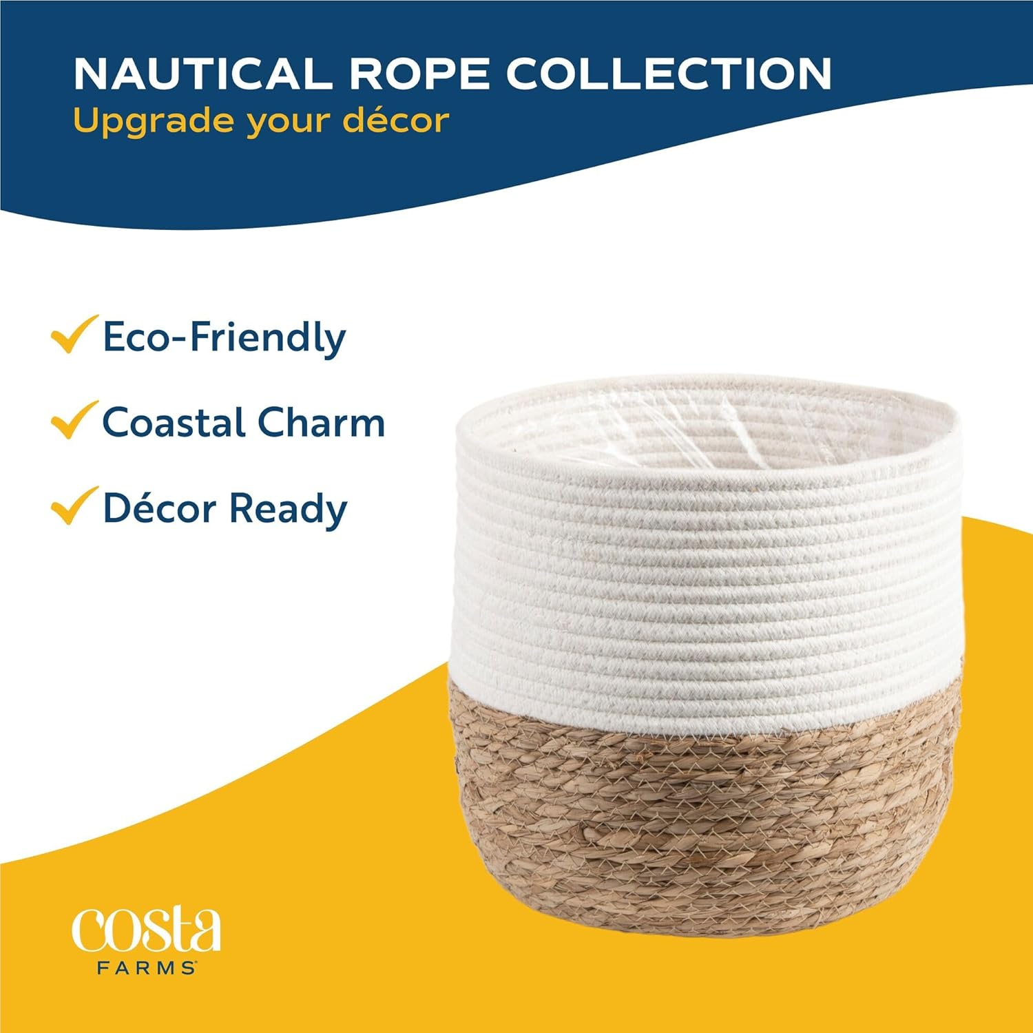 Costa Farms Monstera, Swiss Cheese Live Plant in Decorative Pot, Large Indoor Houseplant, Perfect for Home, Room, or Office Decor, Great House Warming or Birthday Gift, 2-3 Feet Tall