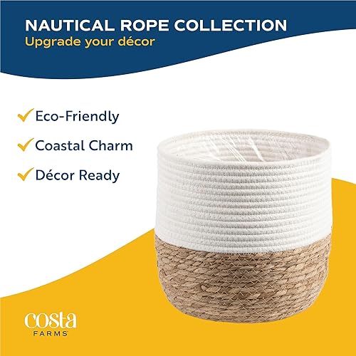 Miniatura 5 de Costa Farms - Planta interior, filodendro de hoja partida, monstera deliciosa