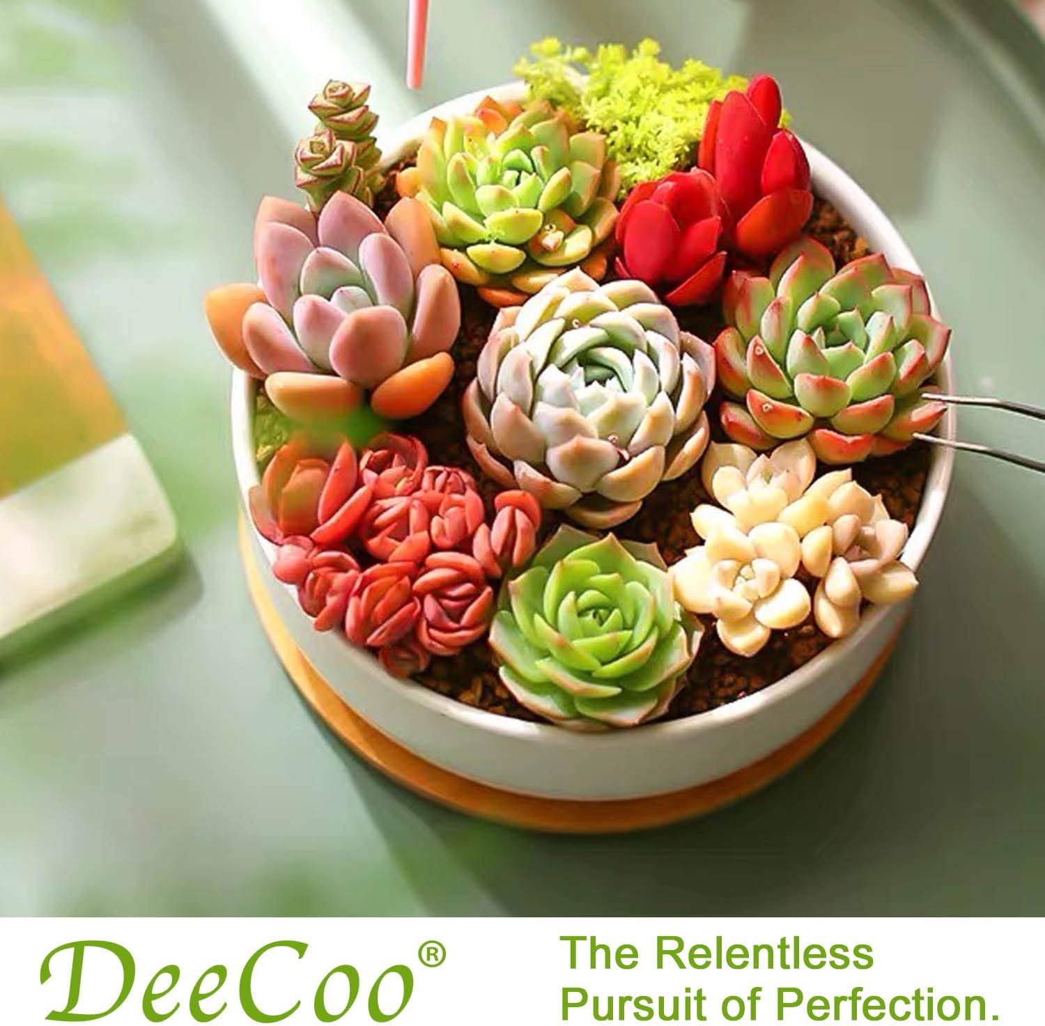 DeeCoo Succulent Pots, White Ceramic Flower Succulent Planters Pot with Bamboo Tray, 1 Rectangle Flower Pot + 1 Round Flower Pot 6.5" Drainage Hole for Cactus