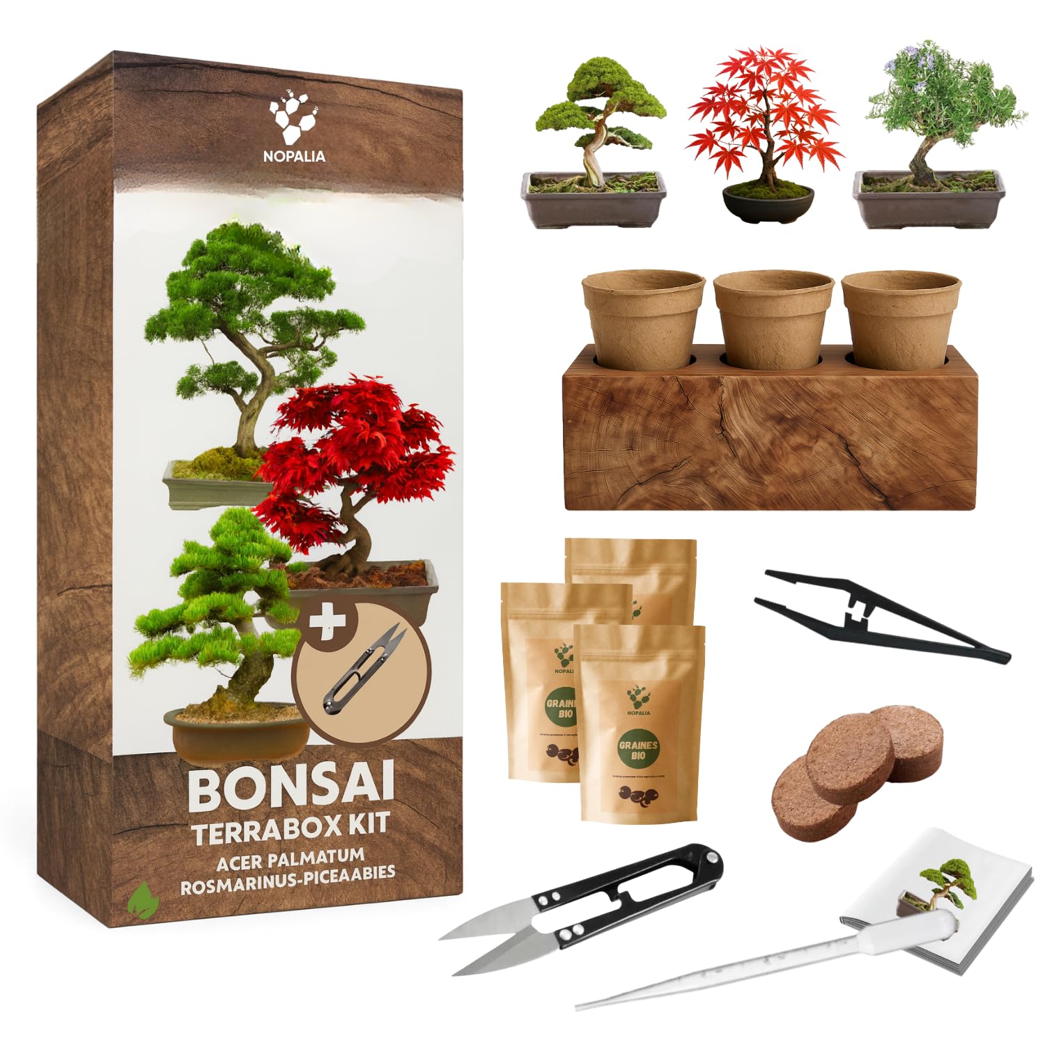 NOPALIA® Kit Bonsái 3 Especies Bio Listo para Crecer con Herramientas Pro (Pinza, Tijeras, Pipeta), Macetas, Tierra y Base Innovadora - Garantía 95% Germinación - Idea de Regalo Zen Navidad Fabricado