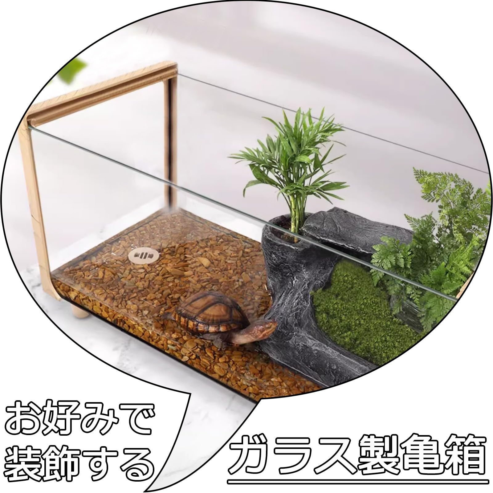 カメ Amazon | Nicheez 亀 水槽 タートル ボックス かめ カメ 爬虫類