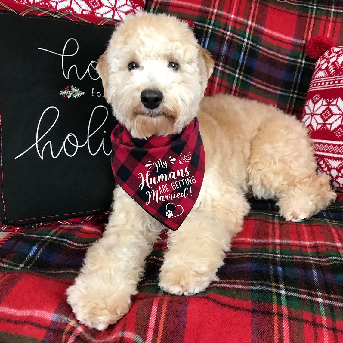 Hundehalstuch 'My Humans Are Getting Married' – Verlobungsgeschenk & Hochzeitsfoto-Accessoire Für Hunde (anpassbare Größe)