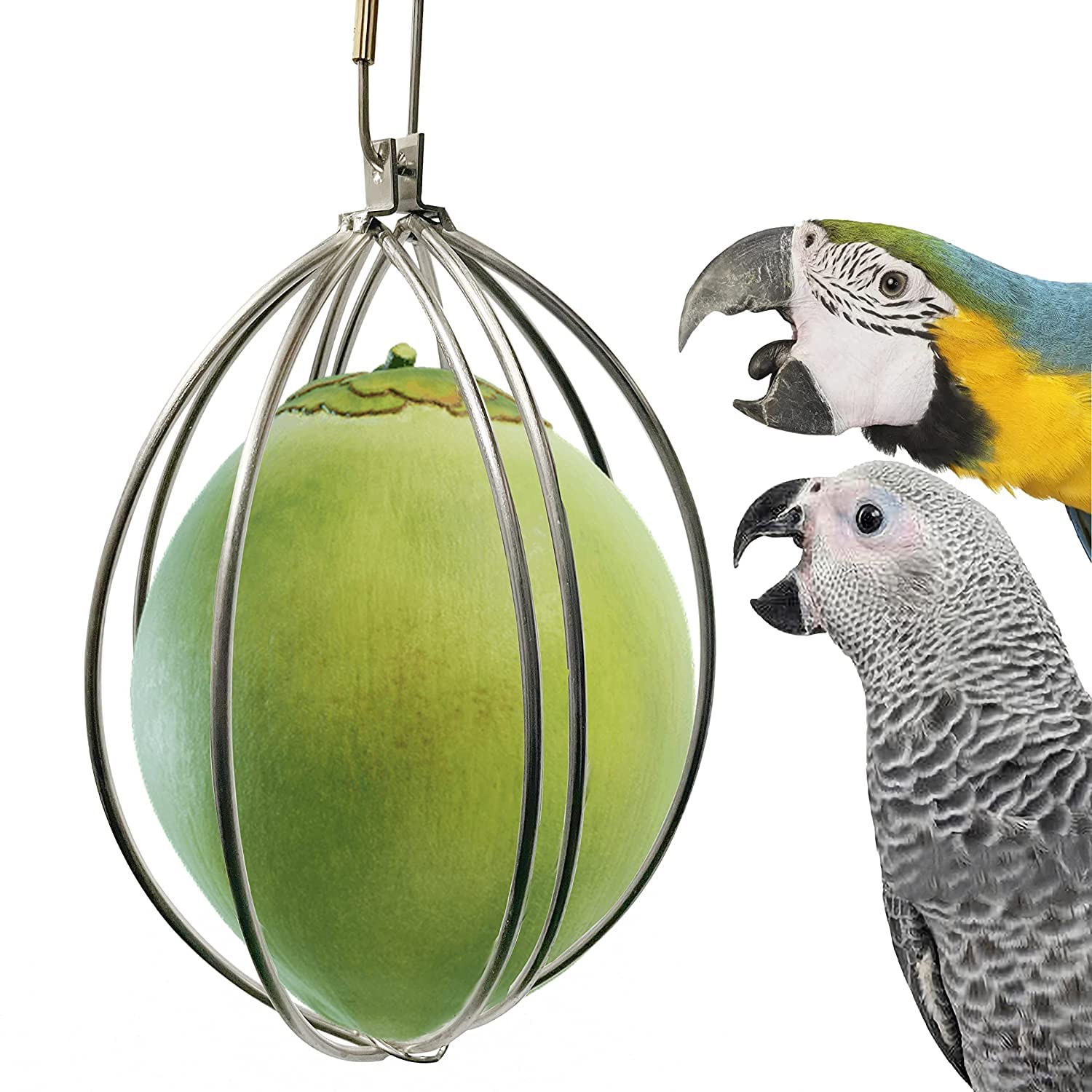 Supreme SS Coconut Holder for Parrots-Grey,Macaw,COCATOO,Amazon, ECLECTUS (B0BY9M7527) Amazon Price History, Amazon Price Tracker