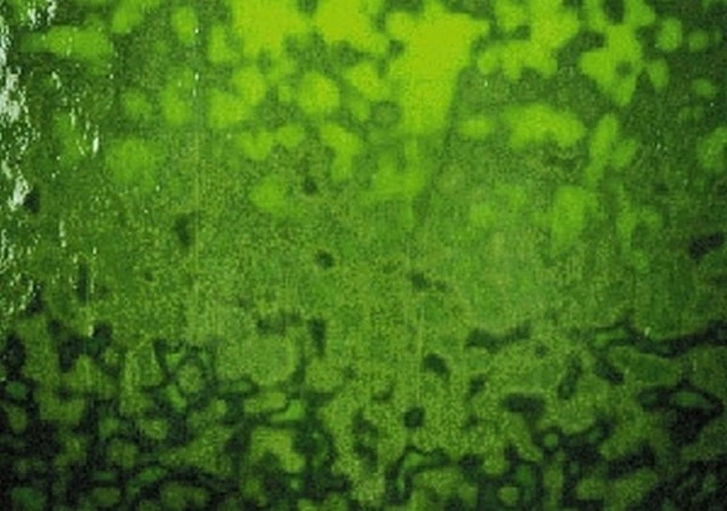 Youghiogheny Dark Green Opal Stained Glass Sheet - 8" X 12" (.67sf) By Stallings Stained Glass