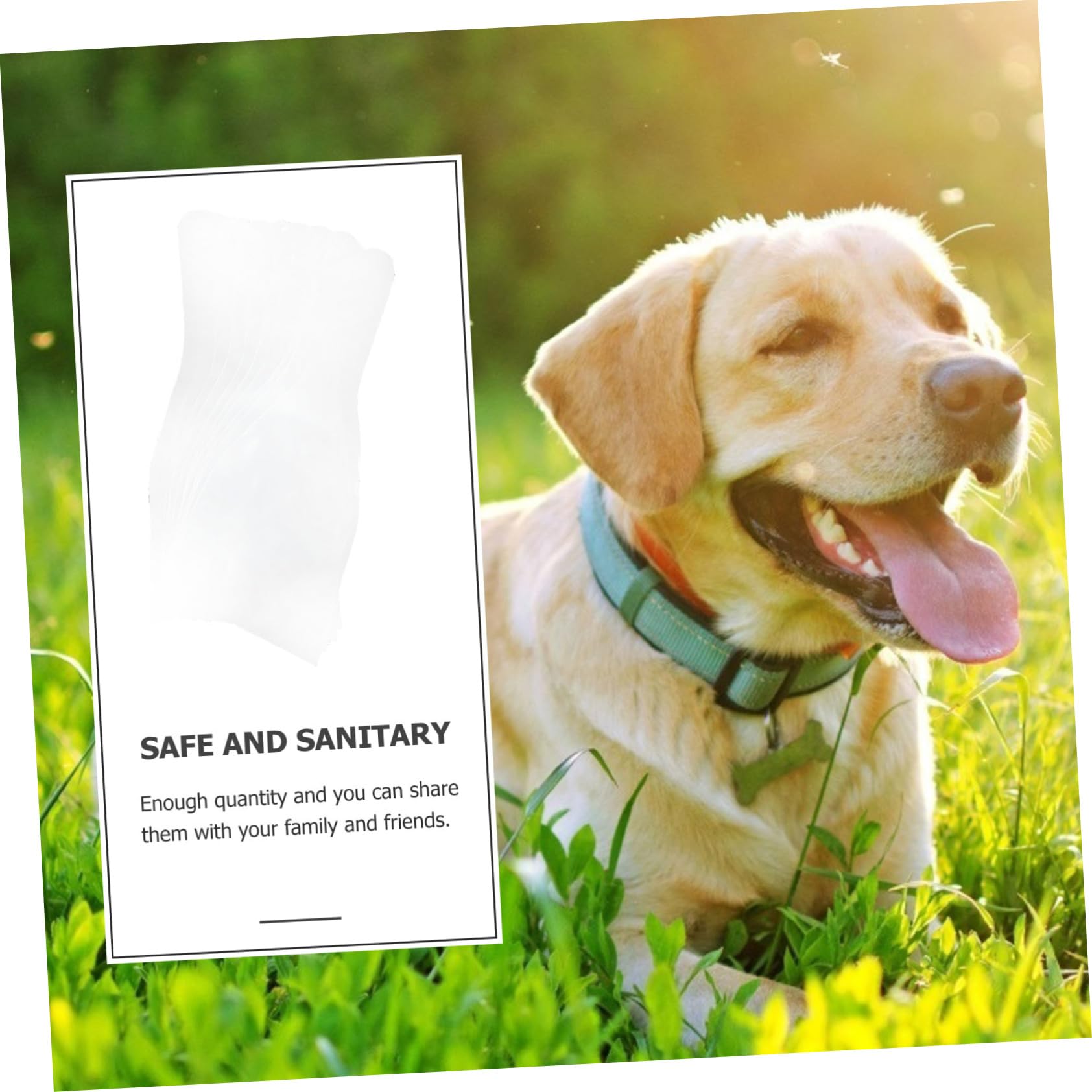 10 Stück Hundesammelbeutel - Samenbehälter Für Künstliche Befruchtung