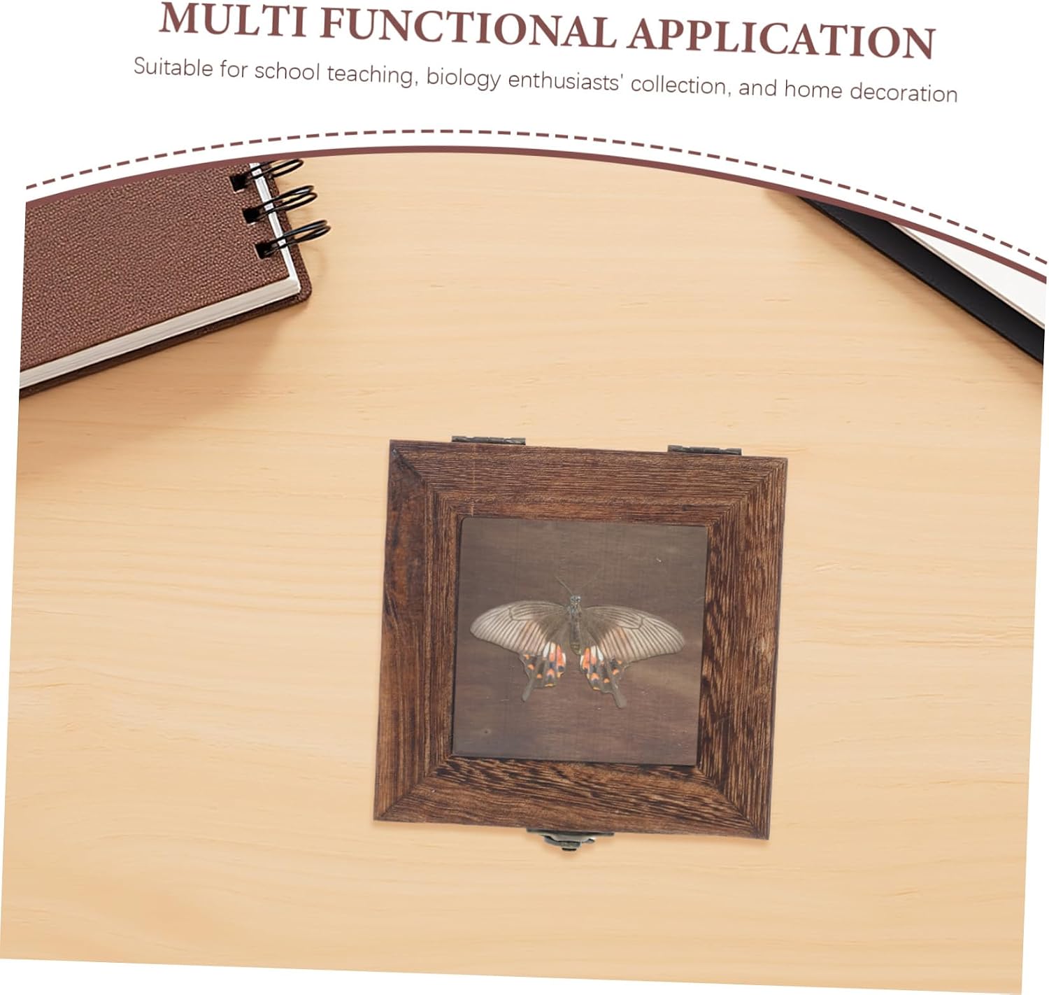 2pcs Rustic Wood Butterfly Display Box Insect Preservation Case for Specimen Collection Educational Insect Observation Box with Visibility for Home Decor and Biology Enthusiasts