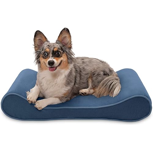 Furhaven Medium Cooling Gel Foam Dog Bed Microvelvet Luxe Lounger w/ Removable Washable Cover - Stellar Blue, Medium