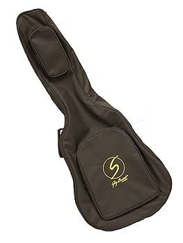 Amazon | Greg Bennett D-310 / NS ナチュラル サテン