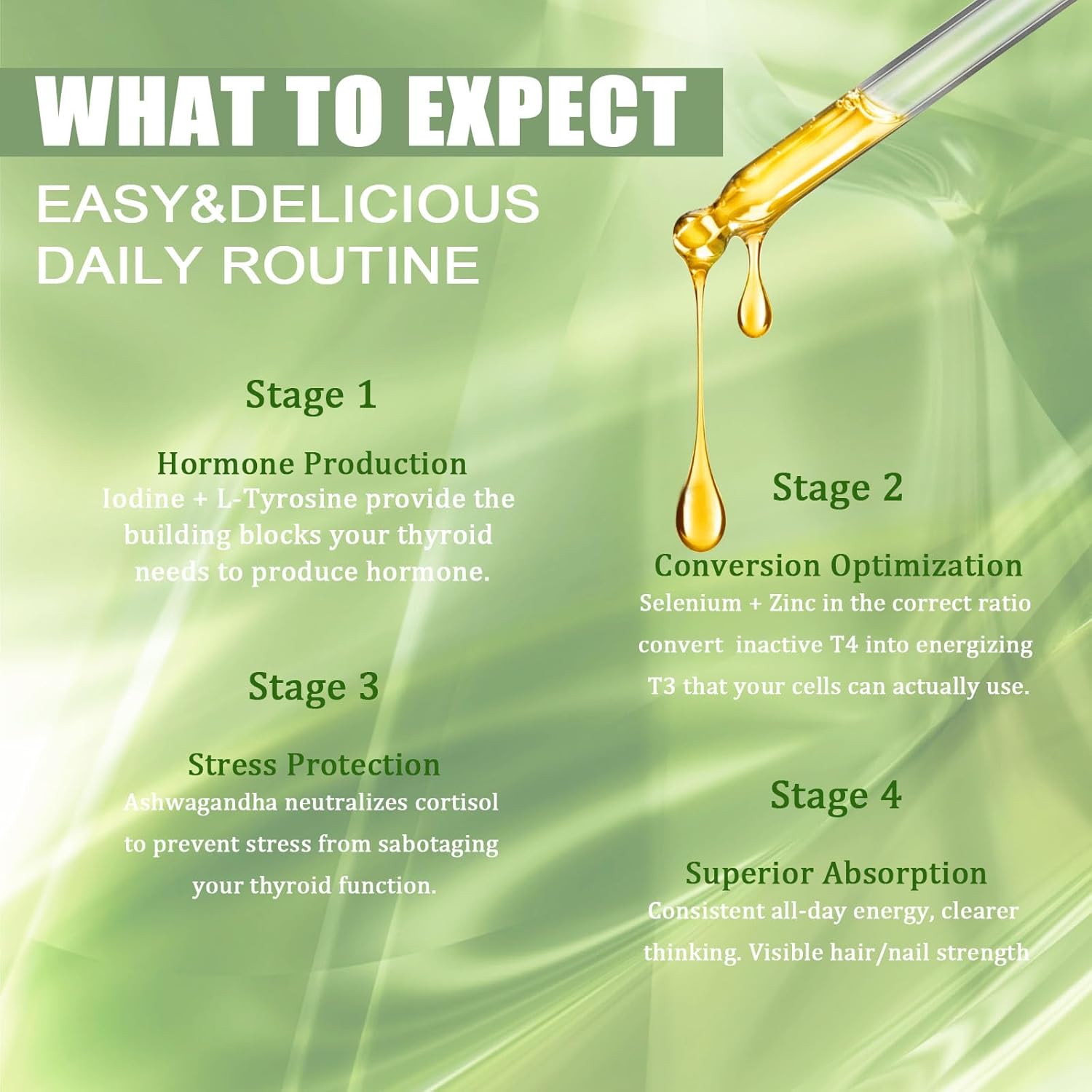 Kindled Thyroid Support Liquid Drops, Actora Thyroid Support Drops with Selenium Zinc Iodine L-Tyrosine Ashwagandha for Hormone Balance - Mood & Energy Supplement - 4 fl. oz. (120mL) (1) - Image 9