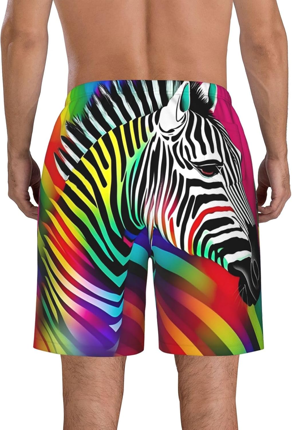 Mens Colorful Rainbow Zebra Print Beach Shorts,Casual Summer Shorts for Men,Quick Dry Polyester