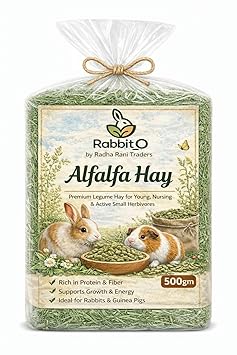 Rabbit_O Alfalfa Hay for Rabbit | Premium Select for Rabbit hay Guinea Pig & Hamster (500 gm)