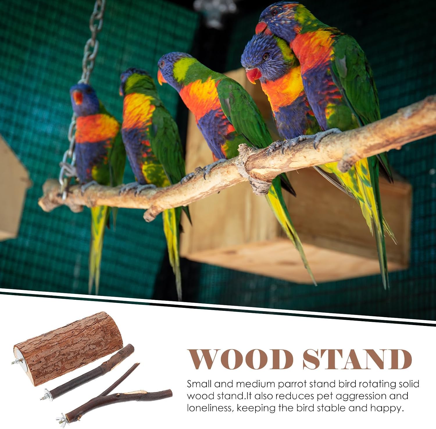 Parrot Standing Rack Set for Cage Mounted Bird Play image 3