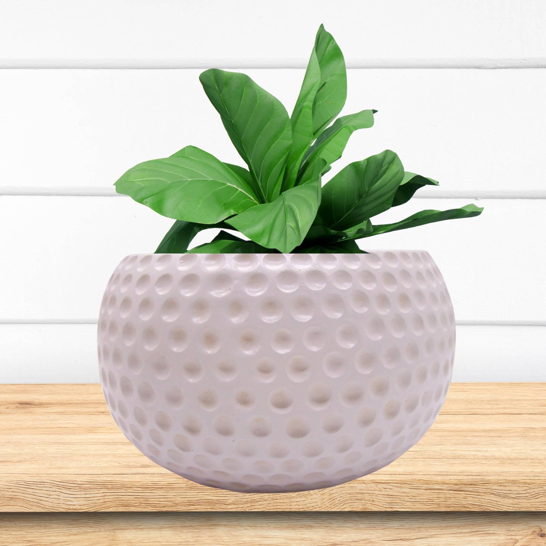 Amazon.com : Wowser Golf Ball Shaped Planter Pot, Home & Garden