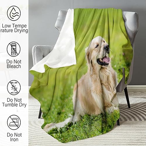 Miniatura 4 de Manta de forro polar Animal-Labrador Retriever para sofá, cama y sofá (60 x 80 pulgadas), ultra suave, ligera y acogedora, no se desprende pelusa,