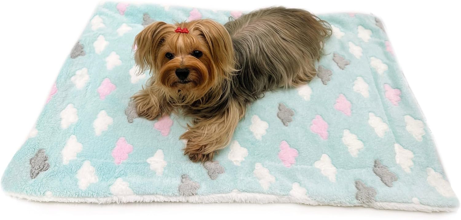 Klippo Double Layered Ultra Plush Dog/Puppy Blanket/Mat/Padding/Cover/Throw/Spread (Colorful Hearts - Turquoise, Large)