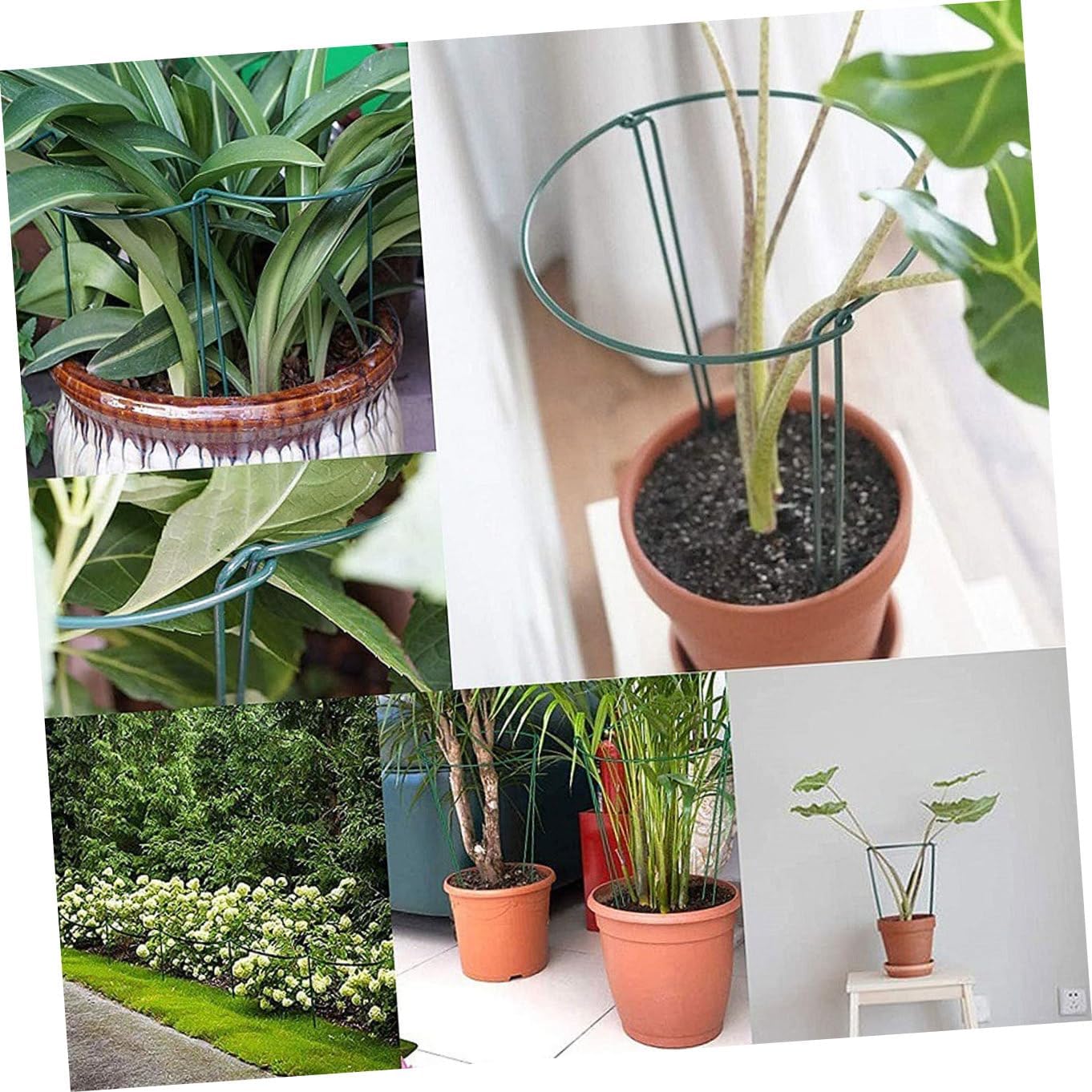 6pcs Climbing Plant Support Rack for Garden Plant Stands to Secure Prevent Entanglement and Support Growth for Gardeners and Flower Displays image 4