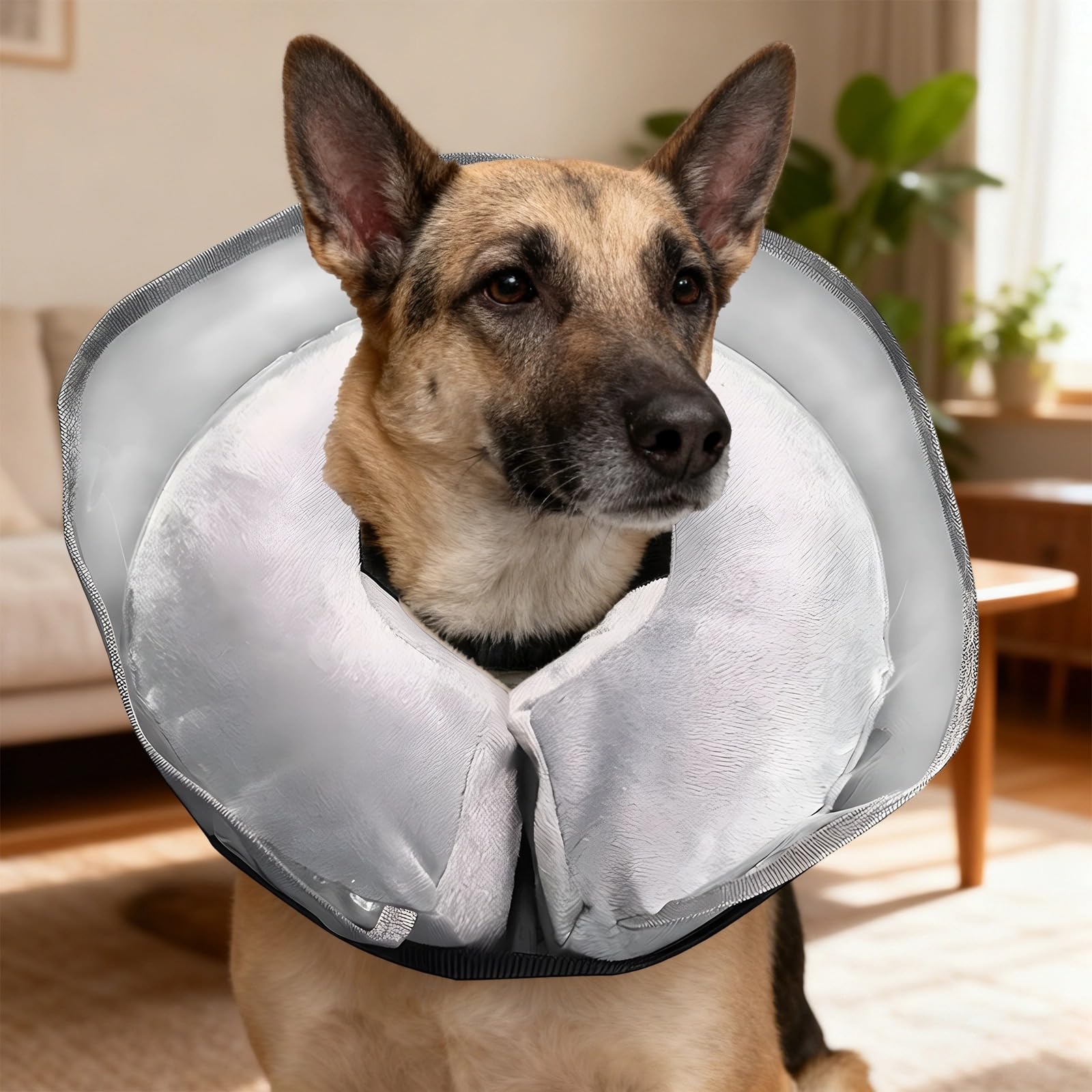 Aufblasbares Erholungshalsband für Haustiere, Größe L, 38 cm, Donut-Halskragen in Grau mit transparenter Schutzscheibe, weicher Stoff, Verstellbarer Leckschutz für Tiere