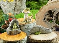 Vista 3 de Top Collection Jardín de hadas en miniatura y terrario Mini ranas en la estatua de los hongos