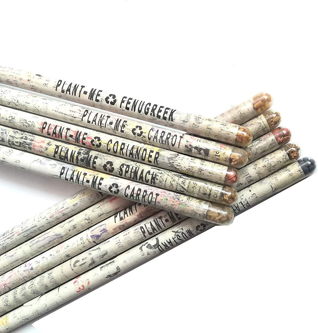 GoodWill Tech NS Plantable Pencil Recycled Plantable Eco Friendly Newspaper Pencils (Pack of 50)