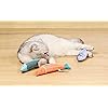 Product Photo 5