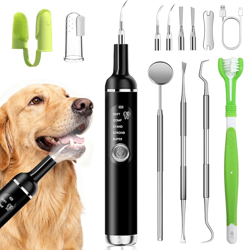 Removedor Ultrassônico de Tártaro para Dentes de Cães PATWING, Preto