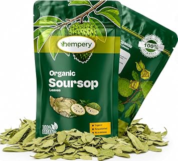 150g Organic Soursop Leaves 300+ Leaves   100% Natural and Organic Soursop Leaf - Premium Quality Sour SOP Leaves Without Pesticides 300+ Leaves - 150 Grams