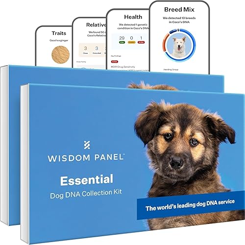Wisdom Panel Kit de ADN esencial para perros la prueba más precisa para más de 365 razas, 30 condiciones genéticas de salud, más de 50 rasgos,