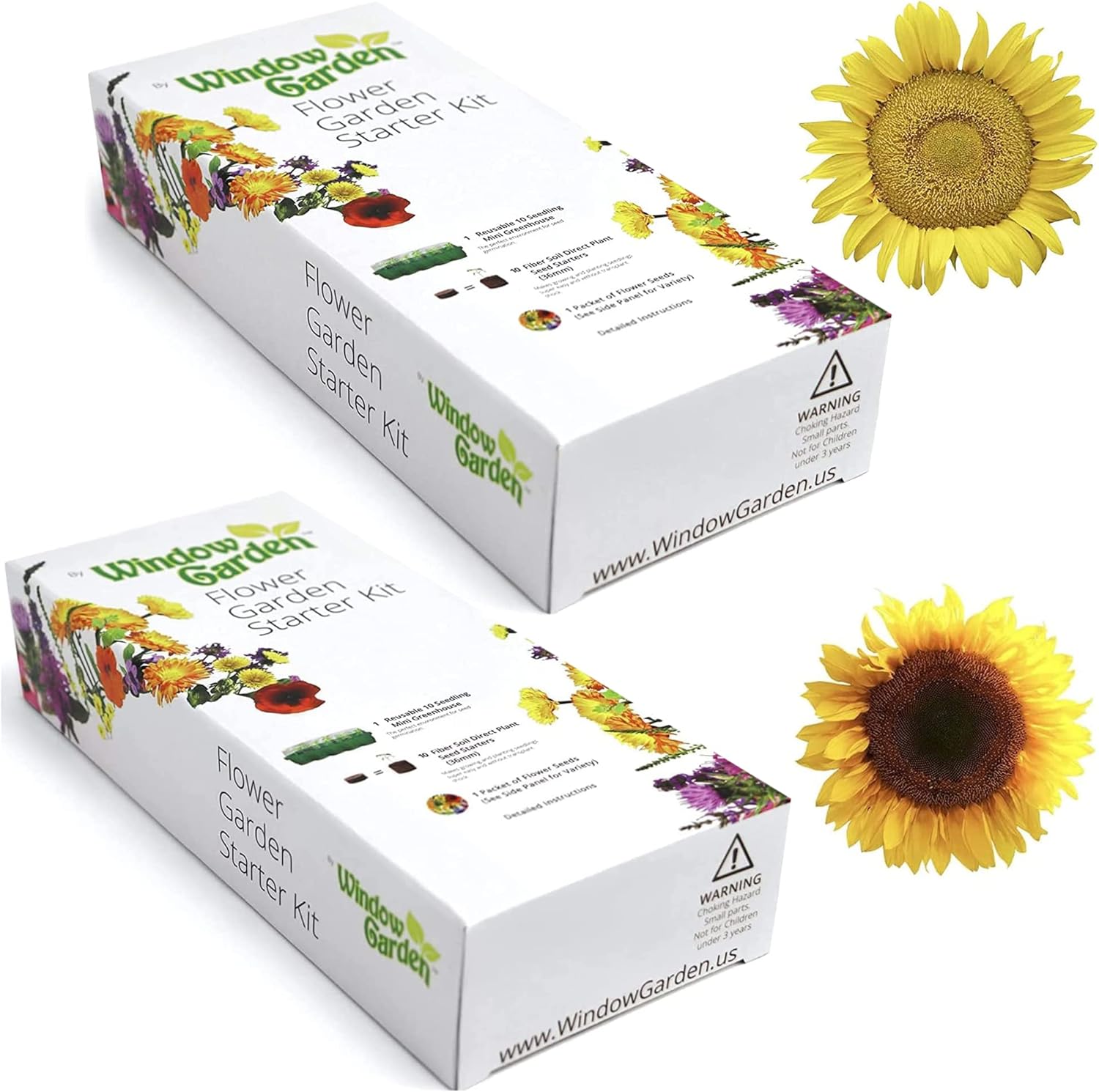 Mammoth Sunflower Grow Kit Giant Sunflower Planting