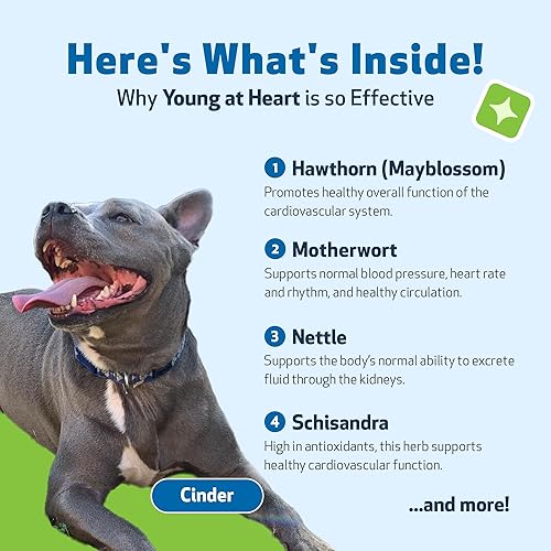 Vista 3 de Pet Wellbeing Young at Heart para perros - Apoyo a la salud cardíaca para personas mayores, bienestar cardiovascular con espino y agripalma