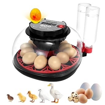 Gen II - 12 Egg Automatic Incubator, Two-Stage Humidity with Auto-Refill & Stable Temp Control, Auto Egg Turning, Candler, Real-Time Display for Hatching Chicken, Goose, Duck, Quail, Pigeon