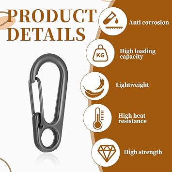 Micro Carabiners, Mini Carabiner Keychain Clips Black Small Carabiner Clip for Keys, Metal Spring Snap Hook Keychains with a Storage Box, Key Carabiners Clips Sport Accessories for Outdoor Camping