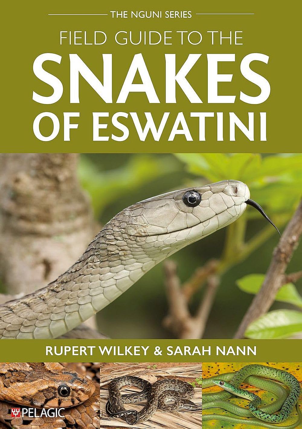 Field Guide to the Snakes of Eswatini (Pelagic Identification Guides)