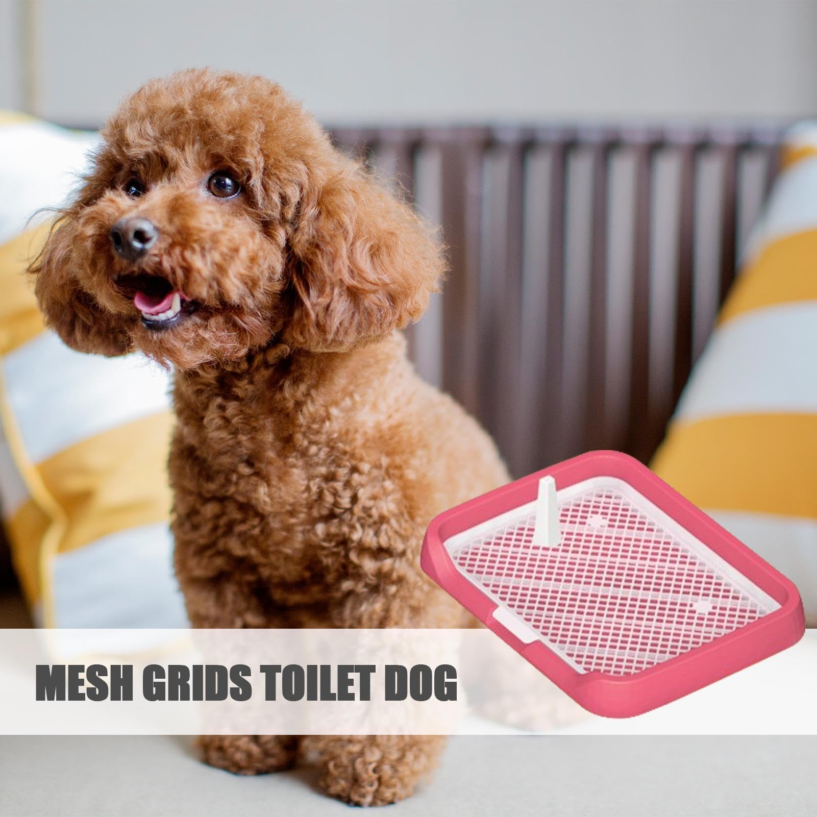 Mesh Grids Toilette - Pee Pad Flat Potty Tray for Dogs with Mesh Grids - Reusable Easy Installation Pee Holder Pet Potty Supplies for Dogs, Puppies, Pets