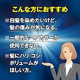 ダリヤ サロンドプロ EXメンズヘアマニキュア ナチュラルブラックの商品画像