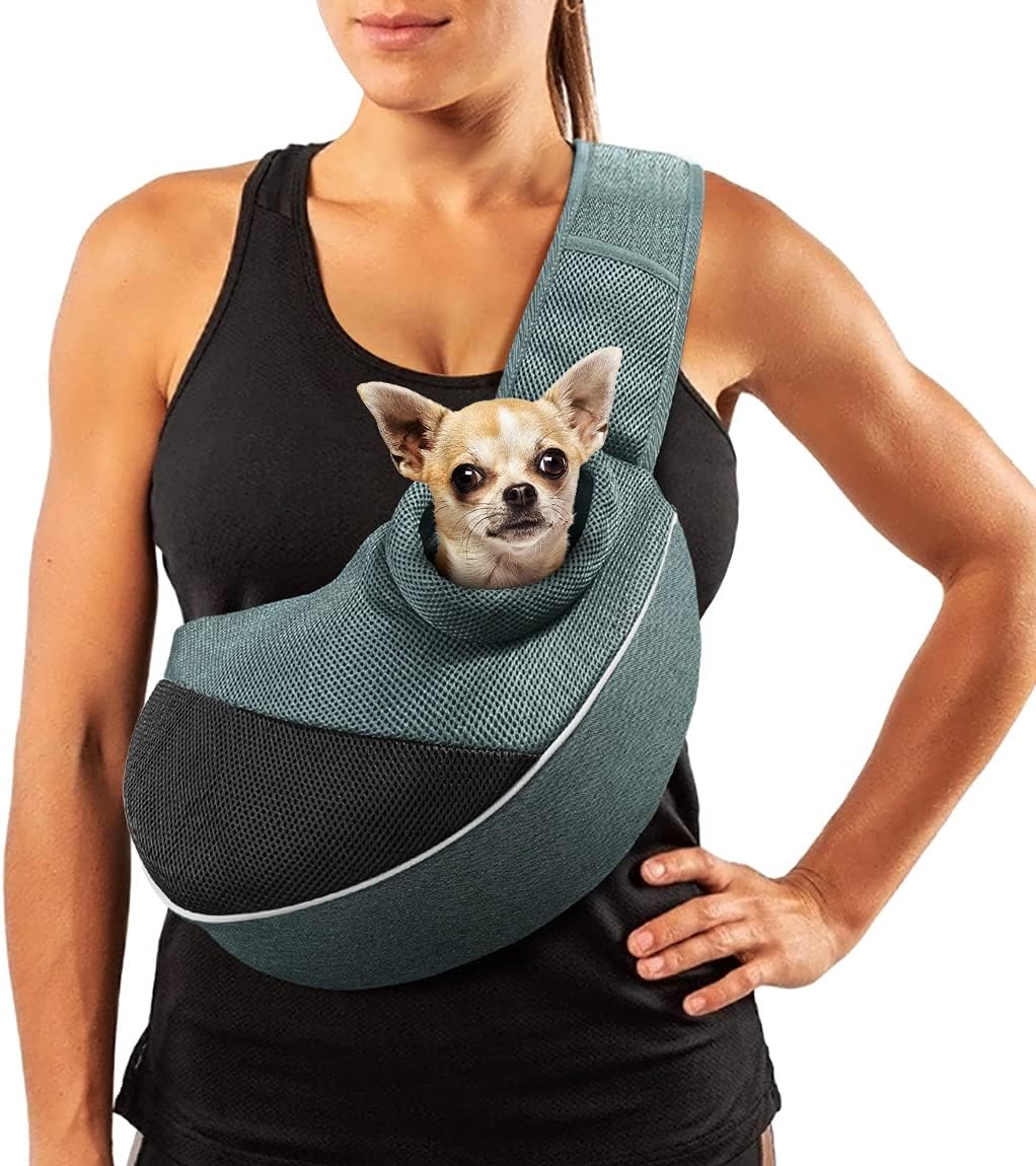 small dog pouch
