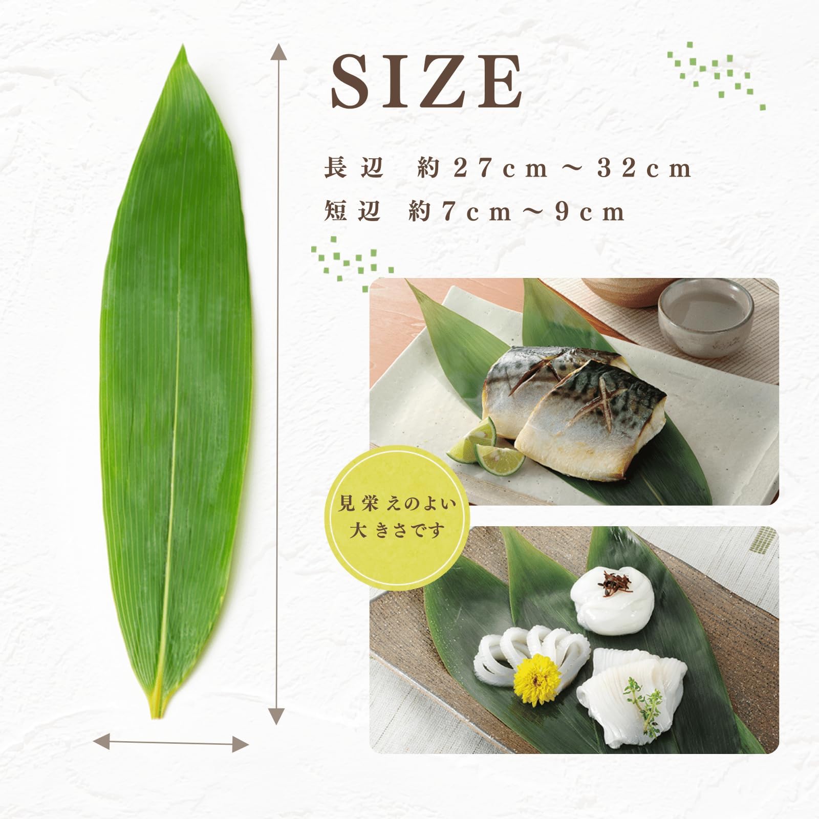 Amazon.co.jp: 博屋 笹の葉 国産 新潟県産 Lサイズ 乾燥防止笹 抗菌 